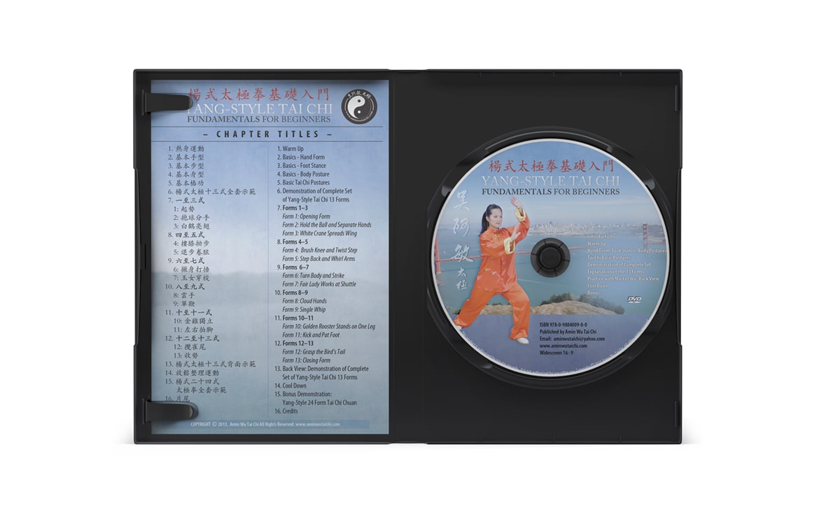 amin wu yang-style taichi